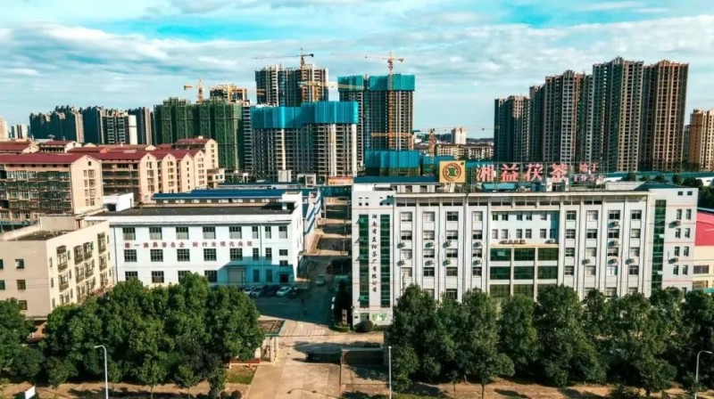 集團益陽茶廠作為益陽市唯一企業(yè)入選首批省級非物質(zhì)文化遺產(chǎn)生產(chǎn)性保護基地彰顯非遺傳承硬實力